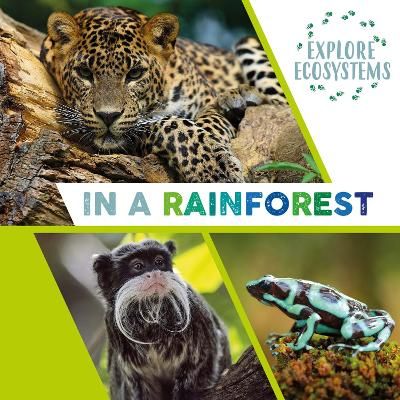 Picture of Explore Ecosystems: In a Rainforest