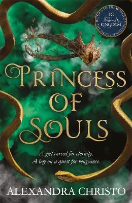 Picture of Princess of Souls: from the author of To Kill a Kingdom, the TikTok sensation!
