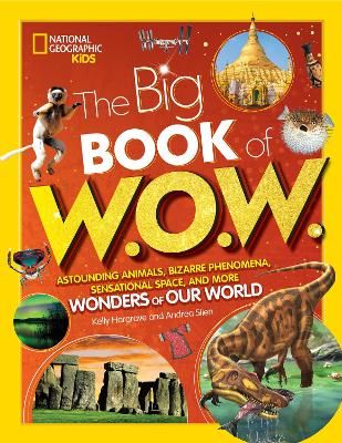 Picture of Big Book of W.O.W.