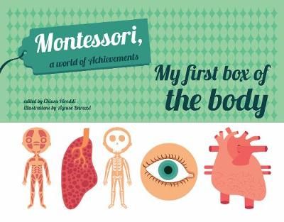 Picture of My First Box of the Body - Montessori World of Achievements