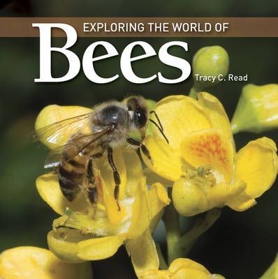 Picture of Exploring the World of Bees