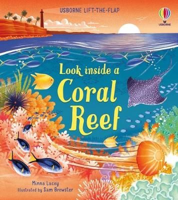 Picture of Look inside a Coral Reef