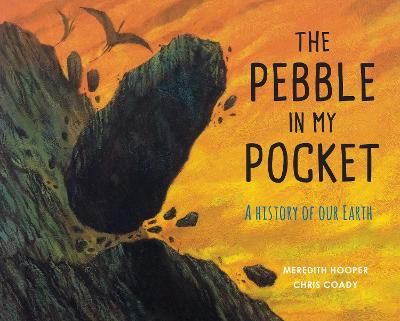Picture of The Pebble in My Pocket: A History of Our Earth