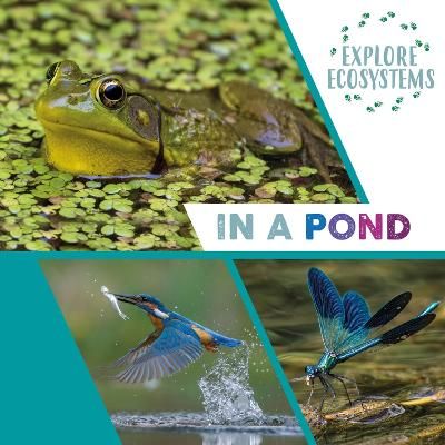 Picture of Explore Ecosystems: In a Pond