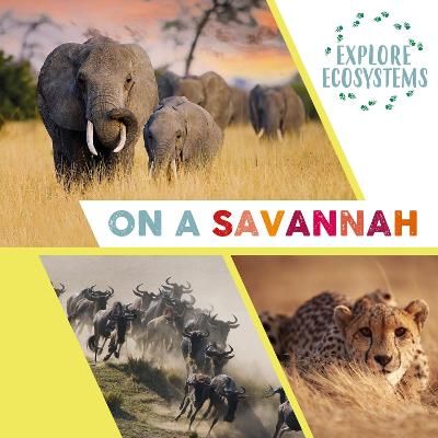 Picture of Explore Ecosystems: On a Savannah