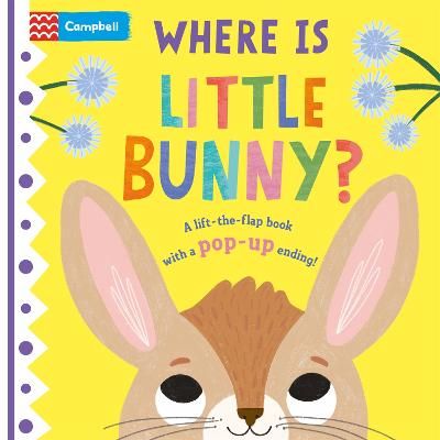 Picture of Where is Little Bunny?