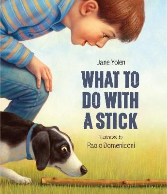 Picture of What to do with a Stick: A remarkable toy