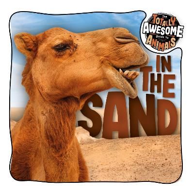 Picture of In the Sand