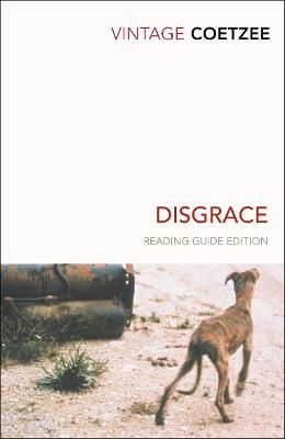 Picture of Disgrace: A BBC Radio 4 Good Read
