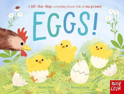 Picture of Eggs!: A lift-the-flap counting book full of surprises!