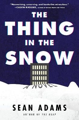Picture of The Thing in the Snow: A Novel
