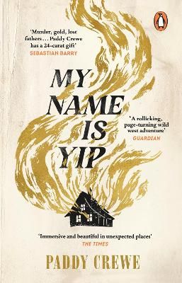 Picture of My Name is Yip: An immersive and rollicking debut, longlisted for the Walter Scott Prize for Historical Fiction