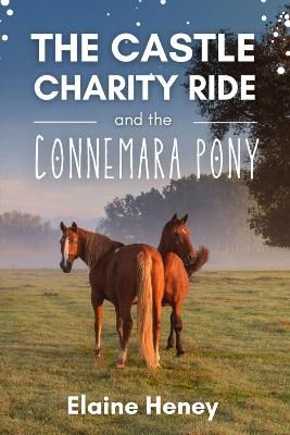 Picture of The Castle Charity Ride and the Connemara Pony - The Coral Cove Horses Series