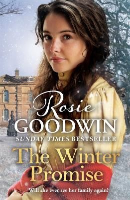 Picture of The Winter Promise: A perfect cosy Victorian saga from the Sunday Times bestselling author