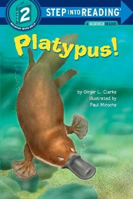 Picture of Platypus!