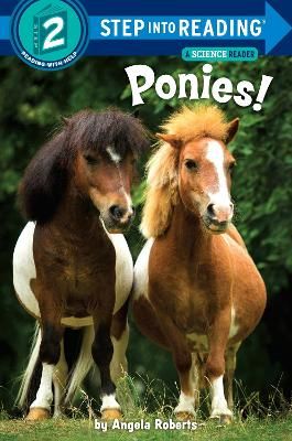 Picture of Ponies!