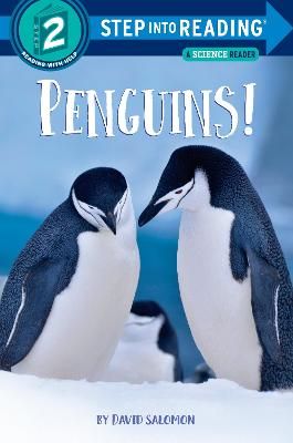 Picture of Penguins!