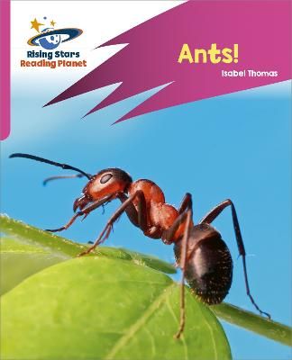 Picture of Reading Planet: Rocket Phonics - Target Practice - Ants! - Pink A