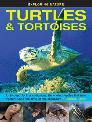 Picture of Exploring Nature: Turtles & Tortoises