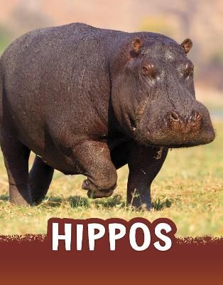 Picture of Hippos