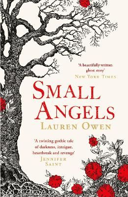 Picture of Small Angels: 'A twisting gothic tale of darkness, intrigue, heartbreak and revenge' Jennifer Saint