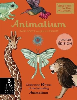 Picture of Animalium (Junior Edition)