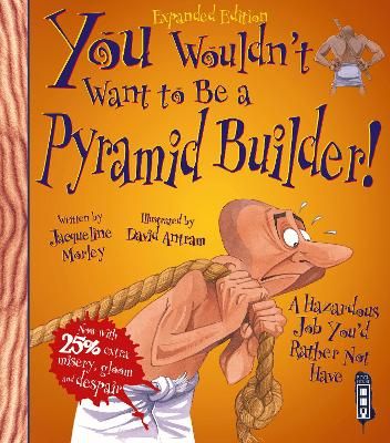 Picture of You Wouldn't Want To Be A Pyramid Builder!