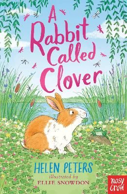 Picture of A Rabbit Called Clover