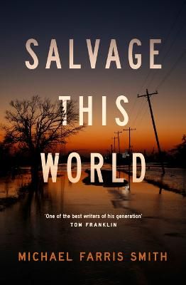 Picture of Salvage This World