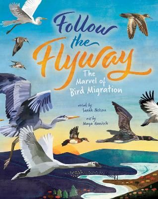Picture of Follow the Flyway: The Marvel of Bird Migration