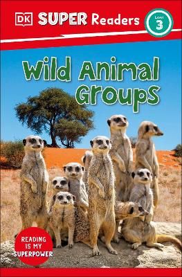 Picture of DK Super Readers Level 3 Wild Animal Groups