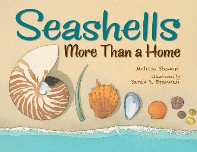 Picture of Seashells: More Than a Home