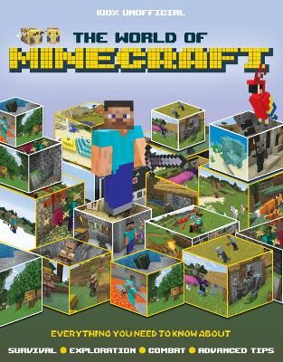 Picture of The World of Minecraft