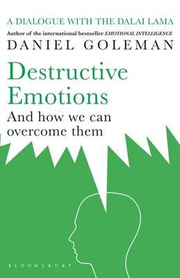Picture of Destructive Emotions