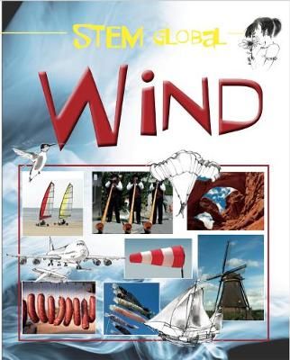Picture of STEM Global: Wind