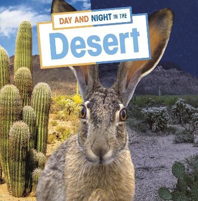 Picture of Day and Night in the Desert