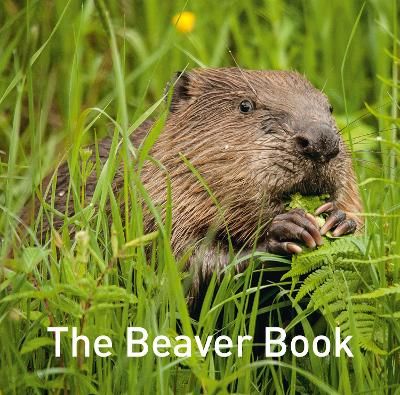 Picture of The Beaver Book