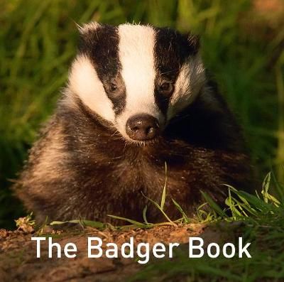 Picture of The Badger Book