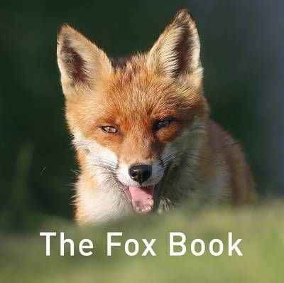 Picture of The Fox Book