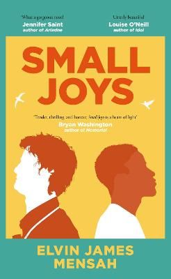 Picture of Small Joys: A Buzzfeed 'Amazing New Book You Need to Read ASAP'