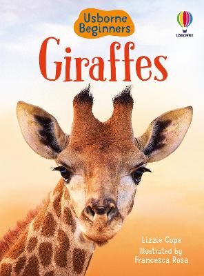 Picture of Giraffes