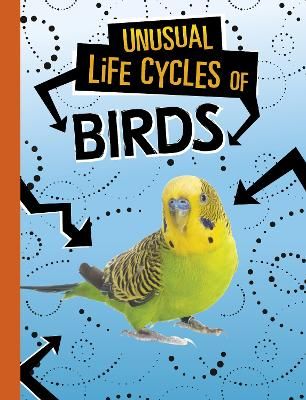 Picture of Unusual Life Cycles of Birds