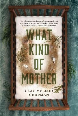 Picture of What Kind of Mother: A Novel