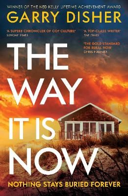 Picture of The Way It Is Now: a totally gripping and unputdownable Australian crime thriller