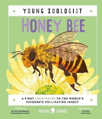 Picture of Honey Bee (Young Zoologist): A First Field Guide to the World's Favourite Pollinating Insect