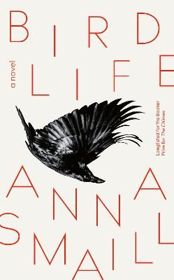 Picture of Bird Life: a novel