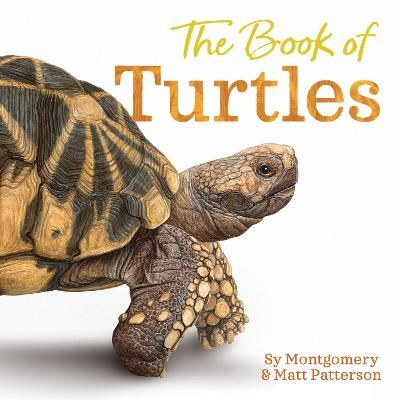 Picture of The Book of Turtles