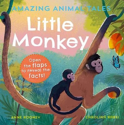 Picture of Amazing Animal Tales: Little Monkey