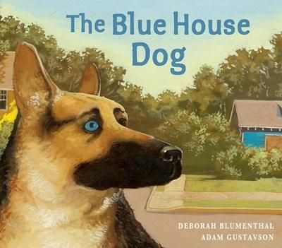 Picture of The Blue House Dog