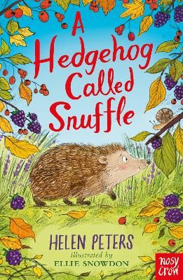 Picture of A Hedgehog Called Snuffle